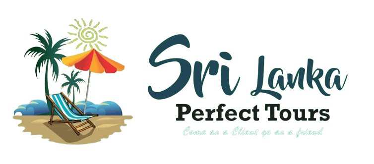  Experience Unforgettable Journeys with Sri Lanka Perfect Tours | Travel and Tourism